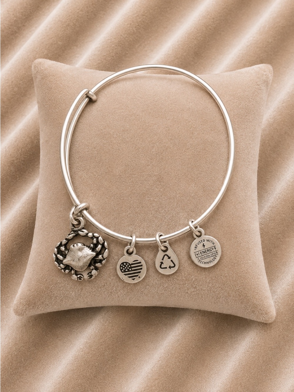 ALEX and ANI Silver Crab Charm Bangle with Heart and Energy Discs